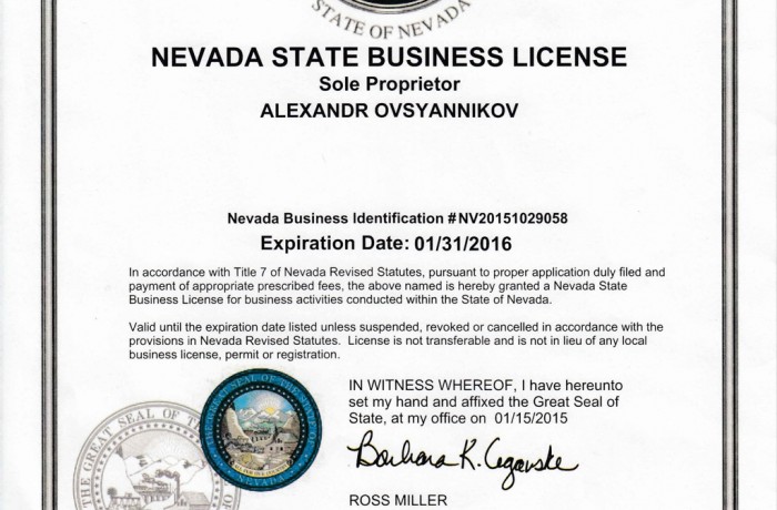 BUSINESS LICENSE