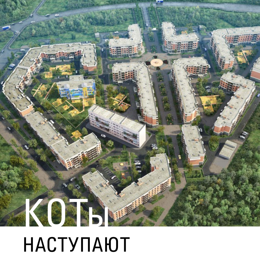 koty-nastupajut-2